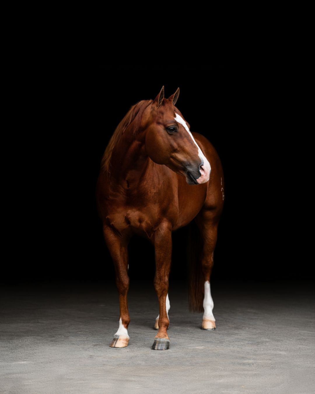 Smooth Talkin Style Apparel