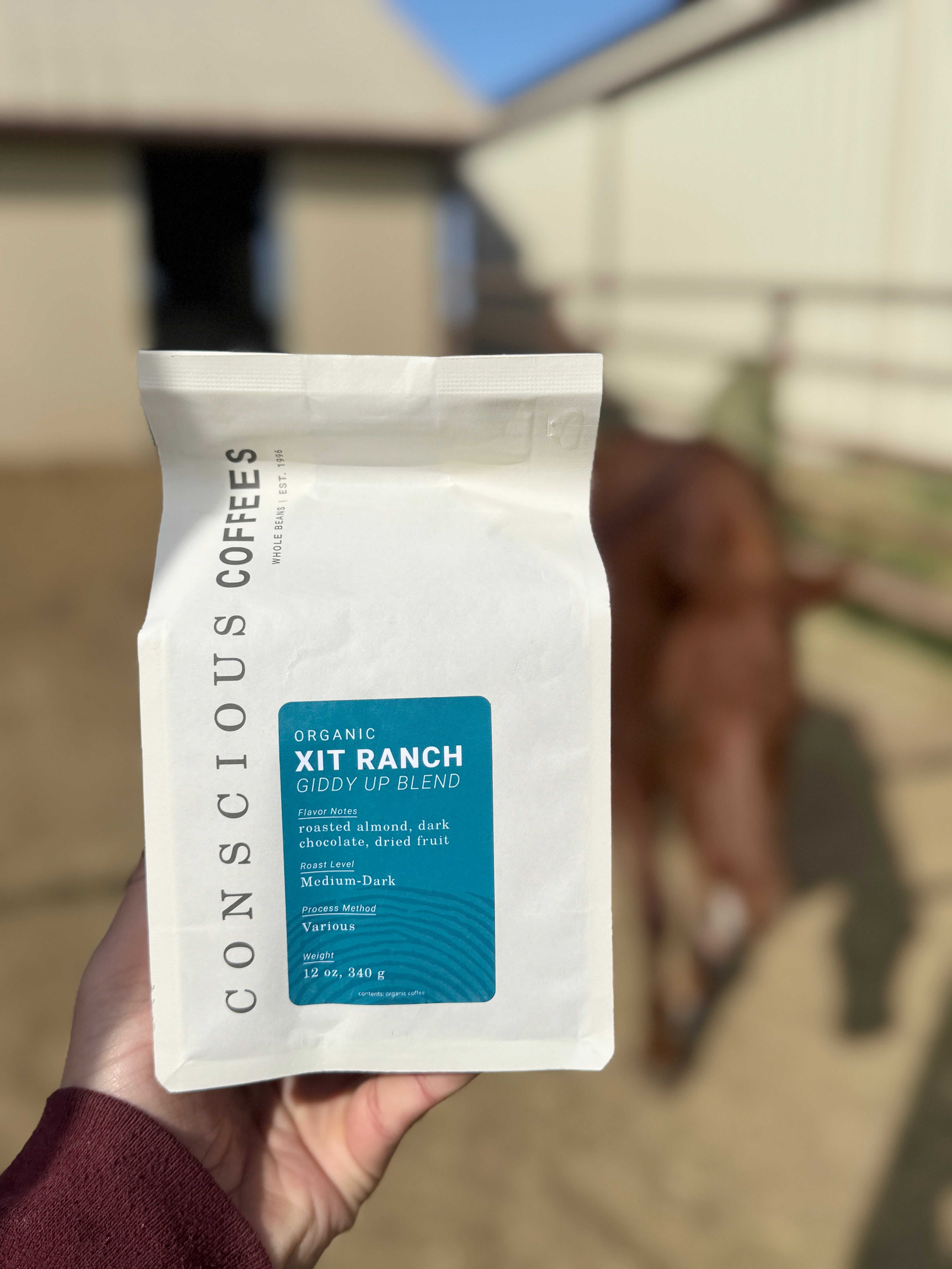 Hand holding a Conscious Coffees XIT Ranch coffee package with a blurred background of a sorrel pony/quarter horse cross named Bacon by Kit Kat Sugar